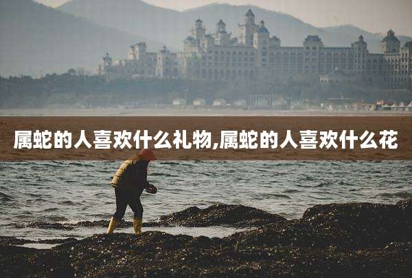 属蛇的人喜欢什么礼物,属蛇的人喜欢什么花