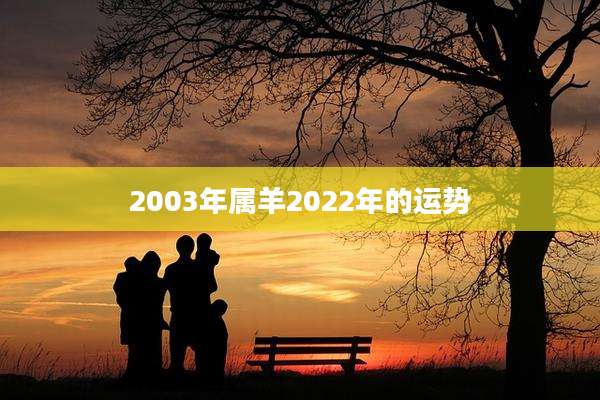 2003年属羊2022年的运势