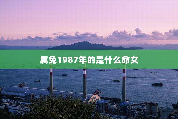 属兔1987年的是什么命女