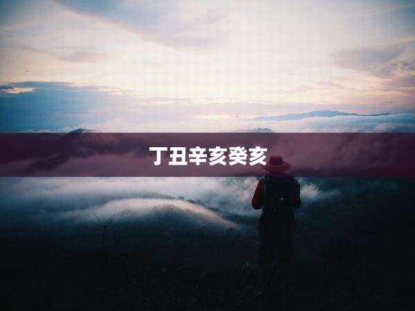 丁丑辛亥癸亥