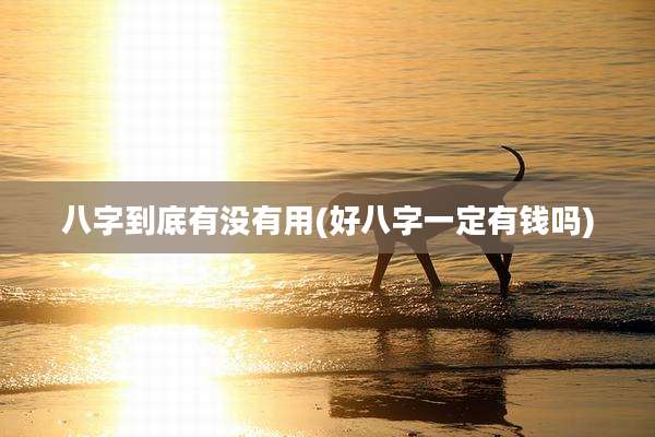 八字到底有没有用(好八字一定有钱吗)