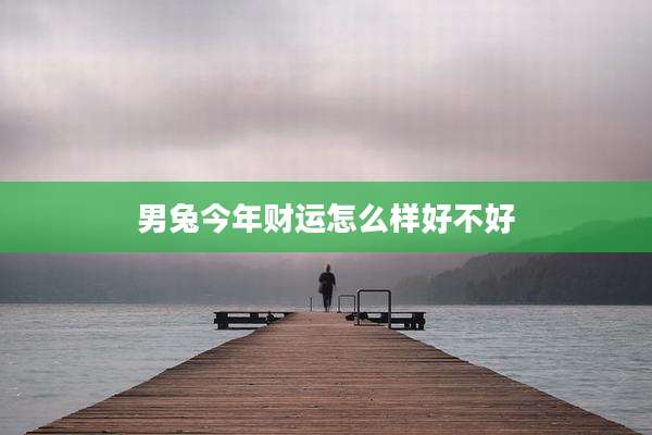男兔今年财运怎么样好不好