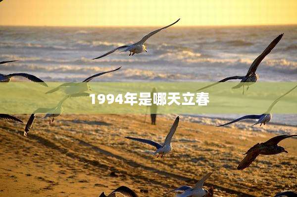 1994年是哪天立春