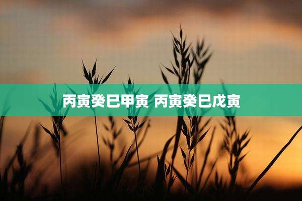 丙寅癸巳甲寅 丙寅癸巳戊寅
