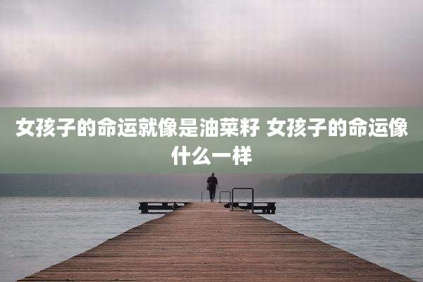 女孩子的命运就像是油菜籽 女孩子的命运像什么一样