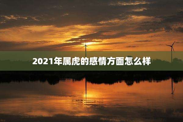 2021年属虎的感情方面怎么样