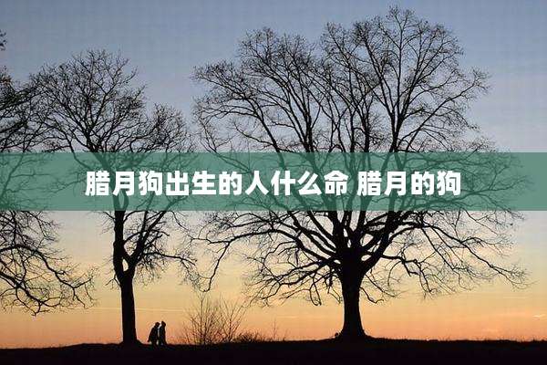 腊月狗出生的人什么命 腊月的狗