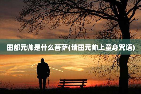 田都元帅是什么菩萨(请田元帅上童身咒语)