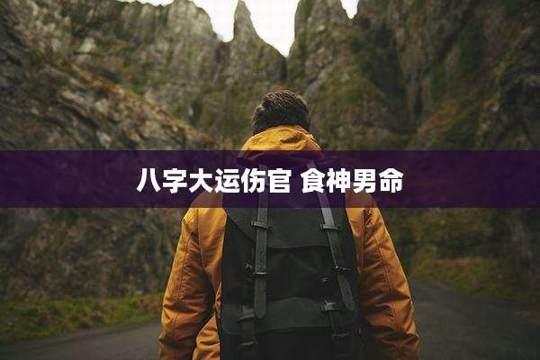 八字大运伤官 食神男命