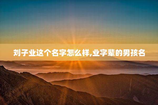 刘子业这个名字怎么样,业字辈的男孩名