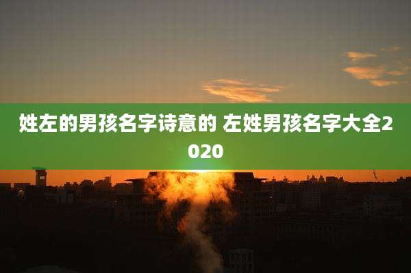 姓左的男孩名字诗意的 左姓男孩名字大全2020