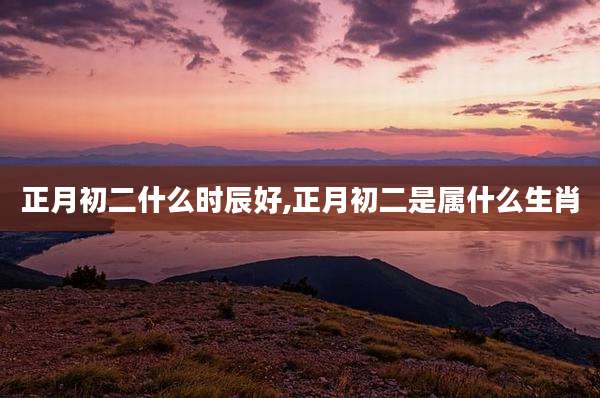 正月初二什么时辰好,正月初二是属什么生肖