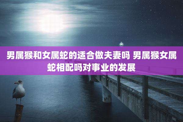 男属猴和女属蛇的适合做夫妻吗 男属猴女属蛇相配吗对事业的发展