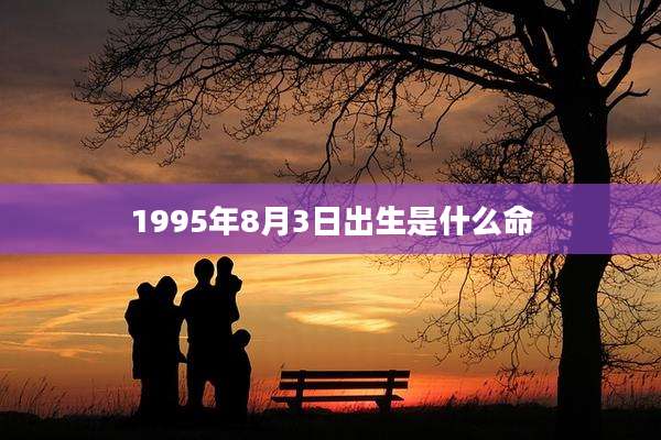 1995年8月3日出生是什么命