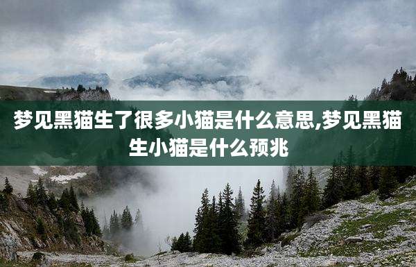 梦见黑猫生了很多小猫是什么意思,梦见黑猫生小猫是什么预兆
