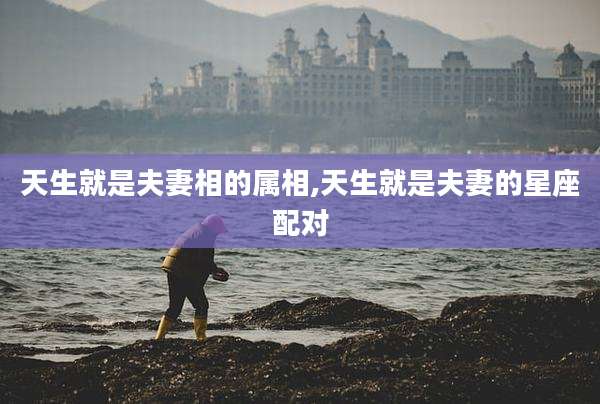 天生就是夫妻相的属相,天生就是夫妻的星座配对