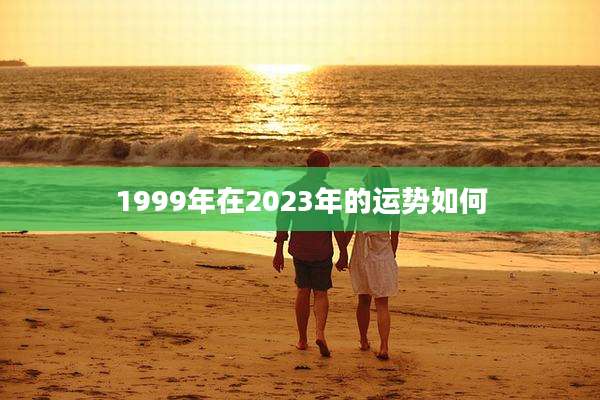 1999年在2023年的运势如何