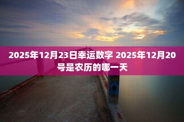 2025年12月23日幸运数字 2025年12月20号是农历的哪一天