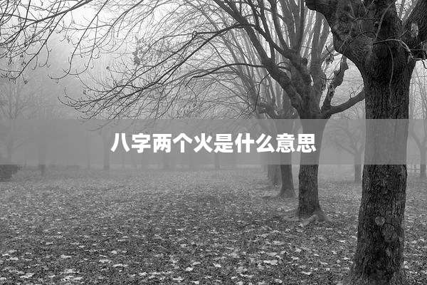 八字两个火是什么意思