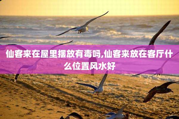 仙客来在屋里摆放有毒吗,仙客来放在客厅什么位置风水好