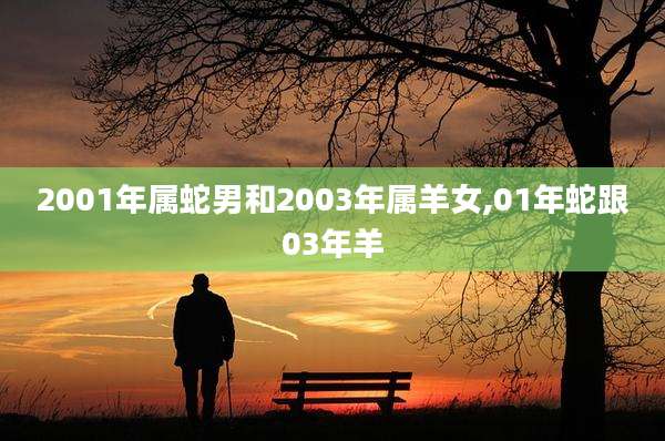 2001年属蛇男和2003年属羊女,01年蛇跟03年羊