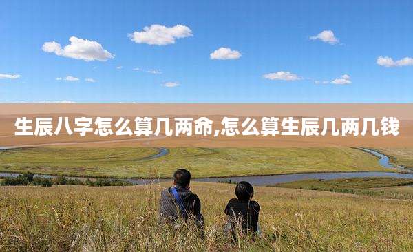 生辰八字怎么算几两命,怎么算生辰几两几钱
