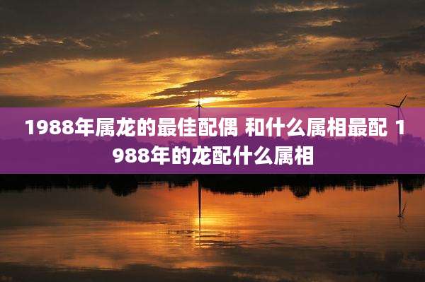 1988年属龙的最佳配偶 和什么属相最配 1988年的龙配什么属相