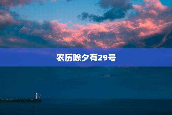 农历除夕有29号