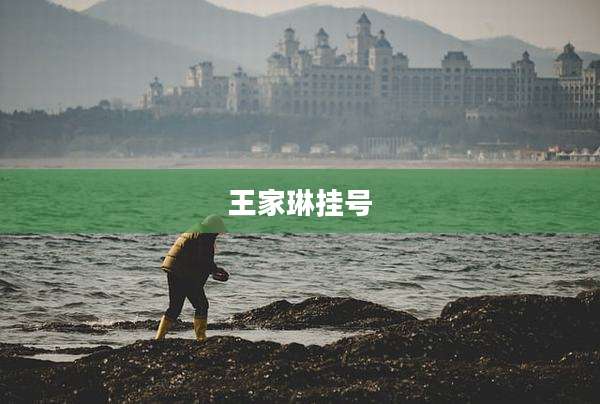 王家琳挂号