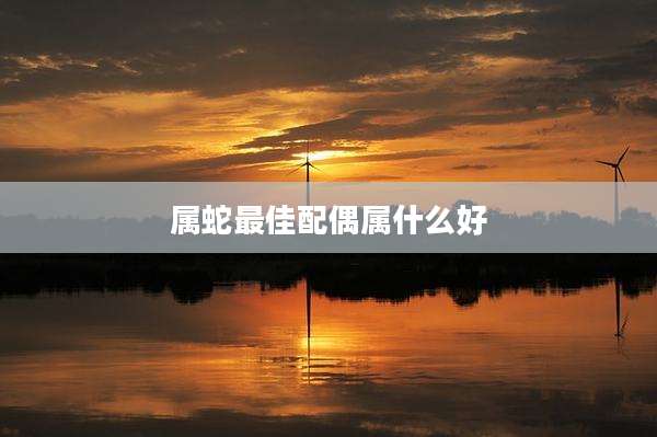 属蛇最佳配偶属什么好