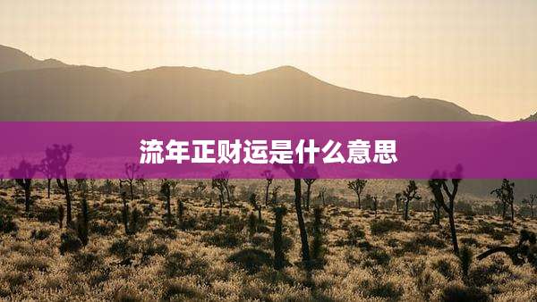 流年正财运是什么意思