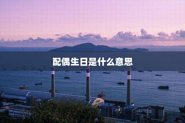 配偶生日是什么意思