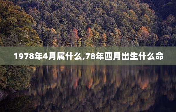 1978年4月属什么,78年四月出生什么命