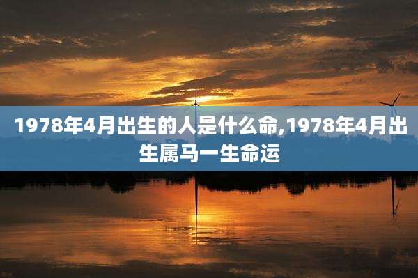 1978年4月出生的人是什么命,1978年4月出生属马一生命运