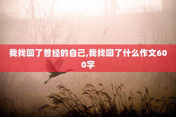 我找回了曾经的自己,我找回了什么作文600字