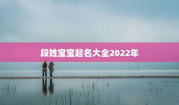 段姓宝宝起名大全2022年