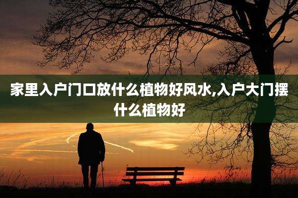 家里入户门口放什么植物好风水,入户大门摆什么植物好