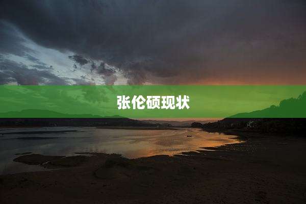 张伦硕现状