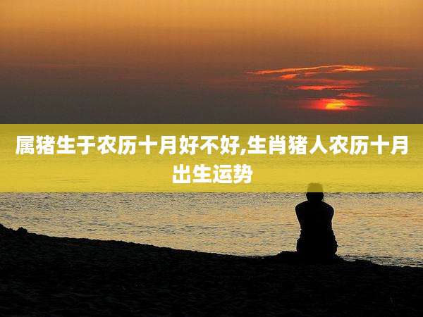 属猪生于农历十月好不好,生肖猪人农历十月出生运势