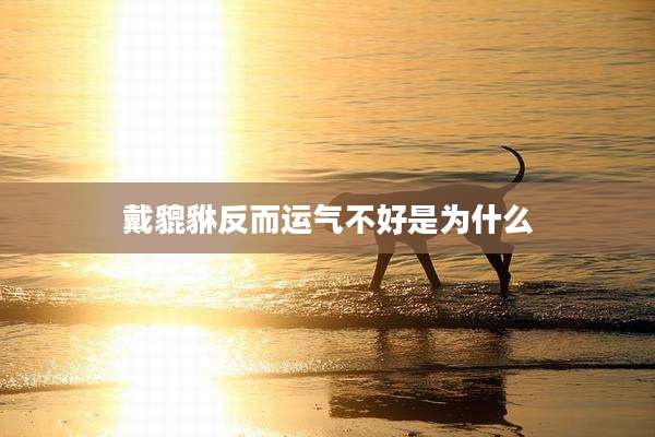 戴貔貅反而运气不好是为什么