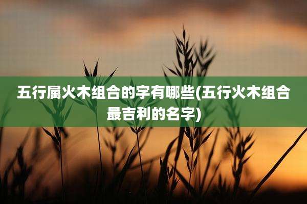 五行属火木组合的字有哪些(五行火木组合最吉利的名字)