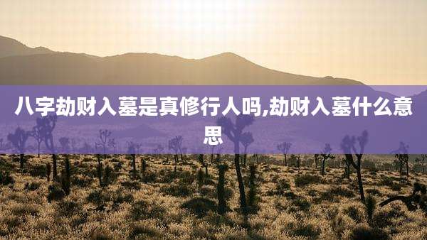 八字劫财入墓是真修行人吗,劫财入墓什么意思