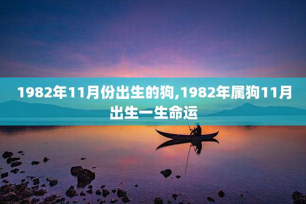 1982年11月份出生的狗,1982年属狗11月出生一生命运