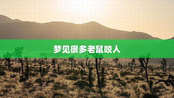 梦见很多老鼠咬人