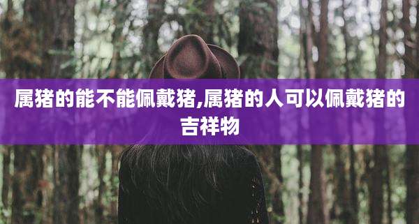 属猪的能不能佩戴猪,属猪的人可以佩戴猪的吉祥物