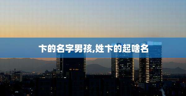 卞的名字男孩,姓卞的起啥名