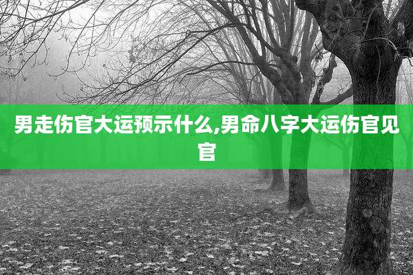 男走伤官大运预示什么,男命八字大运伤官见官