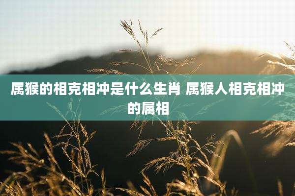 属猴的相克相冲是什么生肖 属猴人相克相冲的属相