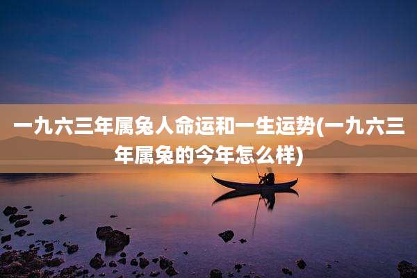 一九六三年属兔人命运和一生运势(一九六三年属兔的今年怎么样)