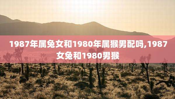 1987年属兔女和1980年属猴男配吗,1987女兔和1980男猴